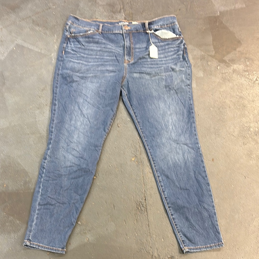 18W Terra & Sky Women's Blue Skinny Jeans